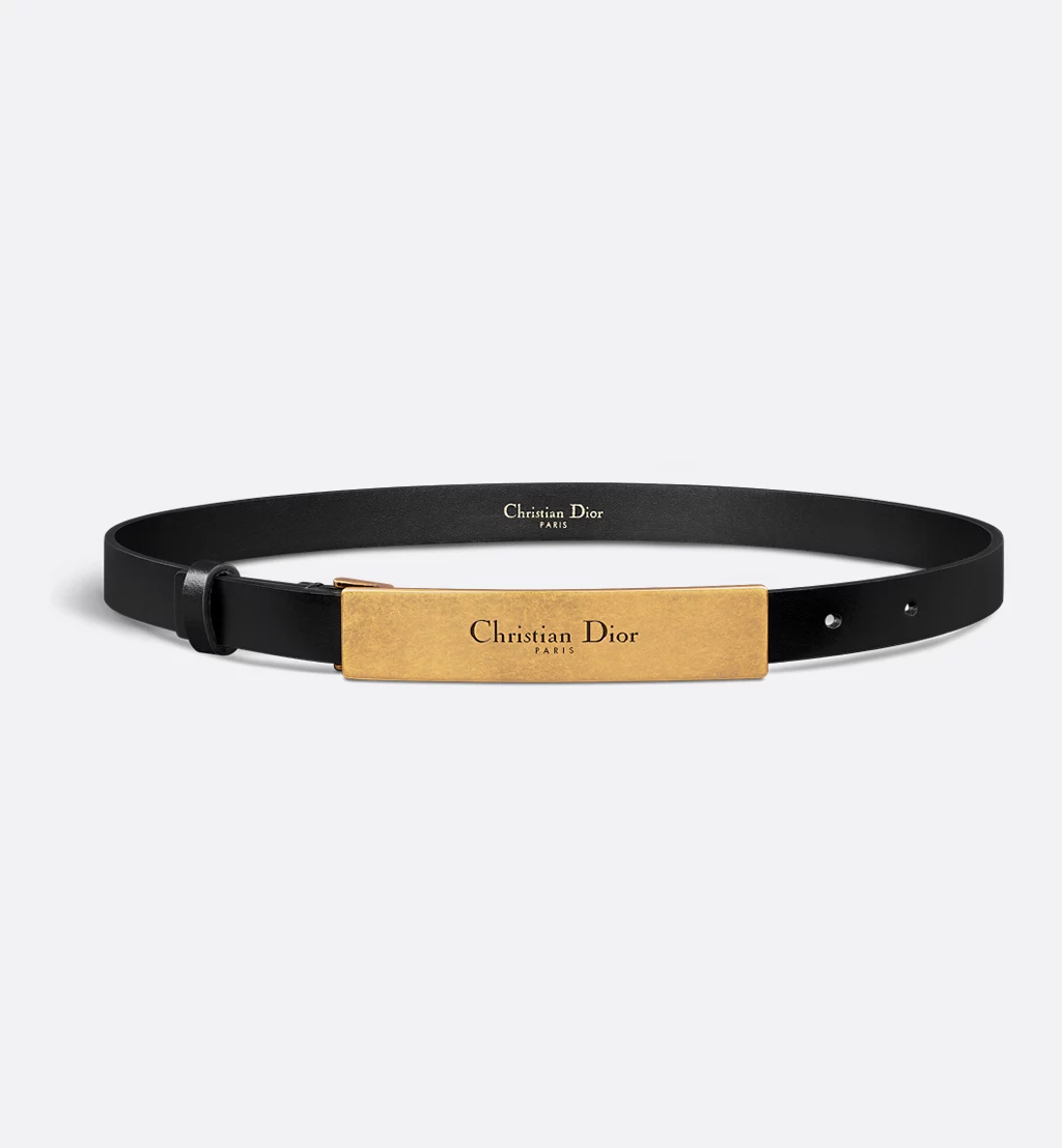 Dior Icon Belt - Image 1